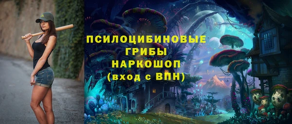 мяу мяу мука Алзамай